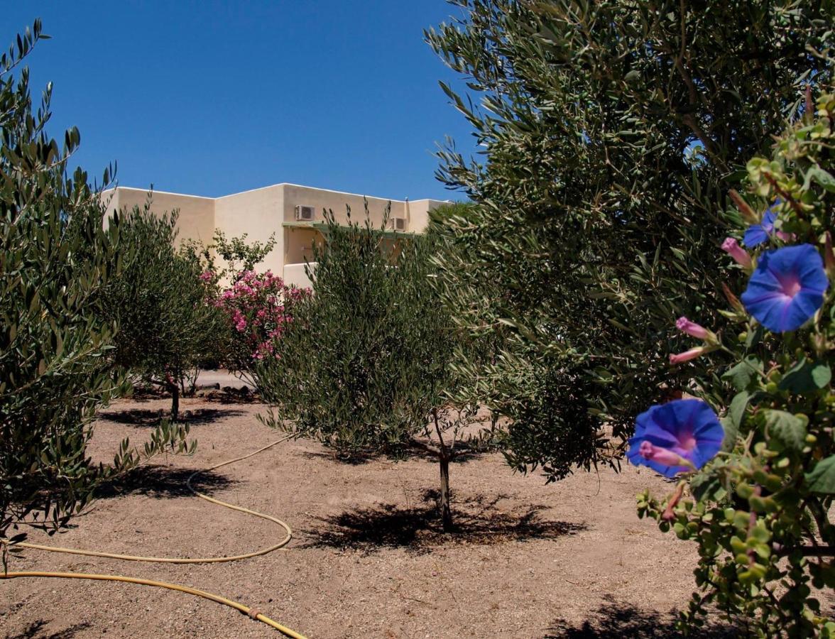 Flower And Crafts - The Eco Nature House Monólithos Exterior photo