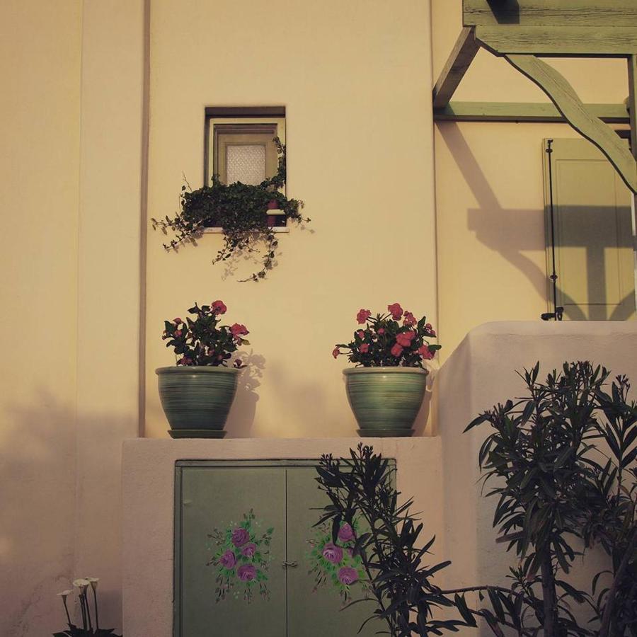 Flower And Crafts - The Eco Nature House Monólithos Exterior photo